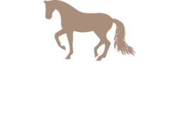 Equirene Coaching